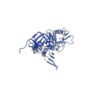 20152_6opp_J_v1-1
Asymmetric model of CD4- and 17-bound B41 HIV-1 Env SOSIP in complex with DDM