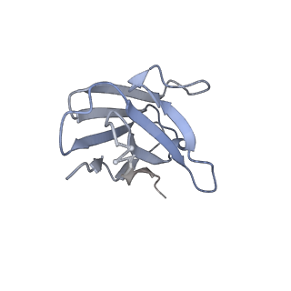20152_6opp_O_v1-1
Asymmetric model of CD4- and 17-bound B41 HIV-1 Env SOSIP in complex with DDM