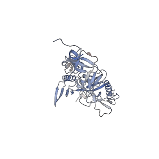 20153_6opq_A_v1-1
CD4- and 17-bound HIV-1 Env B41 SOSIP frozen with LMNG