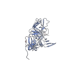 20153_6opq_D_v1-1
CD4- and 17-bound HIV-1 Env B41 SOSIP frozen with LMNG