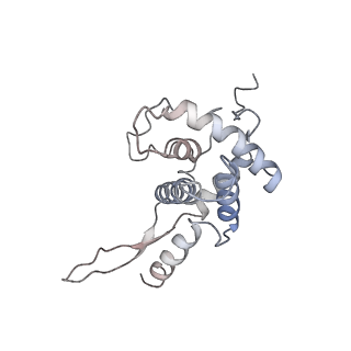 3844_5opt_O_v1-1
Structure of KSRP in context of Trypanosoma cruzi 40S
