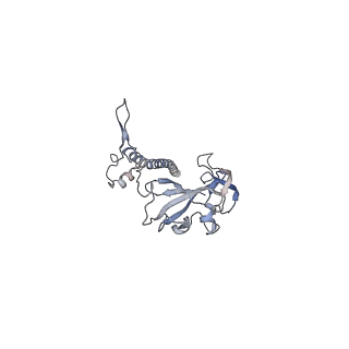 3844_5opt_P_v1-1
Structure of KSRP in context of Trypanosoma cruzi 40S