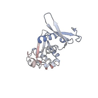 3844_5opt_Q_v1-1
Structure of KSRP in context of Trypanosoma cruzi 40S