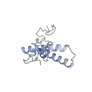 3844_5opt_R_v1-1
Structure of KSRP in context of Trypanosoma cruzi 40S
