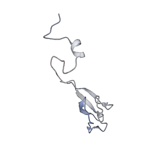 3844_5opt_S_v1-1
Structure of KSRP in context of Trypanosoma cruzi 40S