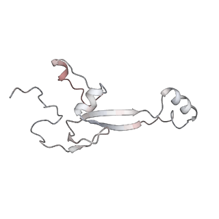 3844_5opt_T_v1-1
Structure of KSRP in context of Trypanosoma cruzi 40S