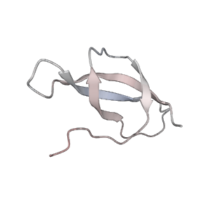 3844_5opt_U_v1-1
Structure of KSRP in context of Trypanosoma cruzi 40S