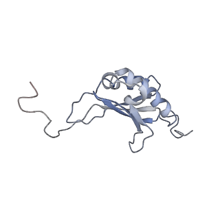 3844_5opt_V_v1-1
Structure of KSRP in context of Trypanosoma cruzi 40S