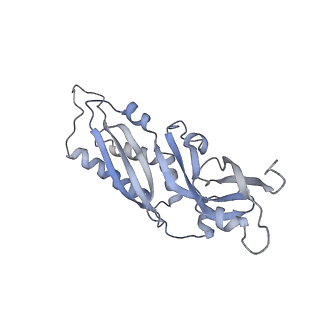 3844_5opt_W_v1-1
Structure of KSRP in context of Trypanosoma cruzi 40S