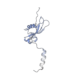3844_5opt_Y_v1-1
Structure of KSRP in context of Trypanosoma cruzi 40S