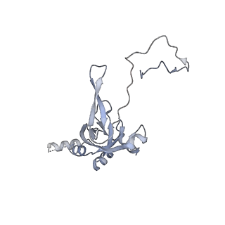 3844_5opt_Z_v1-1
Structure of KSRP in context of Trypanosoma cruzi 40S