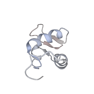 3844_5opt_a_v1-1
Structure of KSRP in context of Trypanosoma cruzi 40S