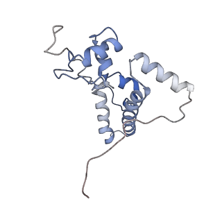 3844_5opt_b_v1-1
Structure of KSRP in context of Trypanosoma cruzi 40S