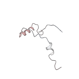3844_5opt_c_v1-1
Structure of KSRP in context of Trypanosoma cruzi 40S