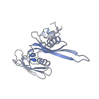 3844_5opt_d_v1-1
Structure of KSRP in context of Trypanosoma cruzi 40S