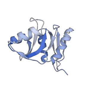 3844_5opt_e_v1-1
Structure of KSRP in context of Trypanosoma cruzi 40S
