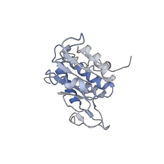 3844_5opt_f_v1-1
Structure of KSRP in context of Trypanosoma cruzi 40S