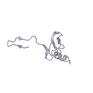 3844_5opt_g_v1-1
Structure of KSRP in context of Trypanosoma cruzi 40S