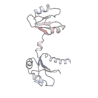 3844_5opt_h_v1-1
Structure of KSRP in context of Trypanosoma cruzi 40S
