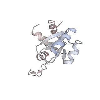 3844_5opt_i_v1-1
Structure of KSRP in context of Trypanosoma cruzi 40S