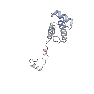 3844_5opt_k_v1-1
Structure of KSRP in context of Trypanosoma cruzi 40S