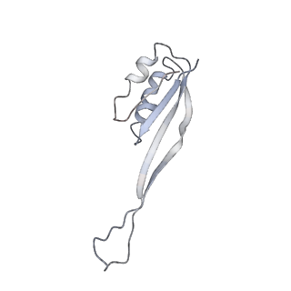 3844_5opt_l_v1-1
Structure of KSRP in context of Trypanosoma cruzi 40S
