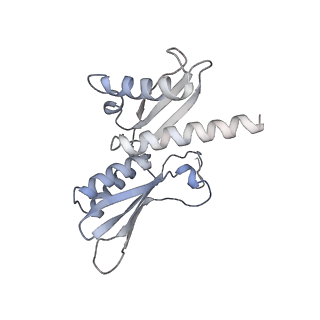 3844_5opt_m_v1-1
Structure of KSRP in context of Trypanosoma cruzi 40S