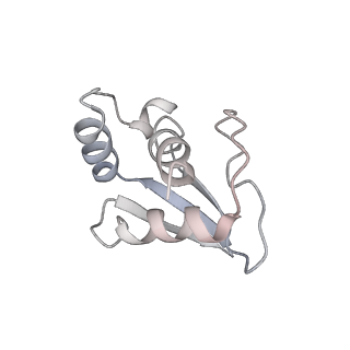 3844_5opt_n_v1-1
Structure of KSRP in context of Trypanosoma cruzi 40S