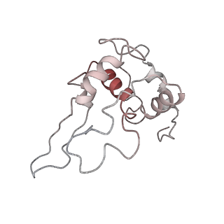 3844_5opt_o_v1-1
Structure of KSRP in context of Trypanosoma cruzi 40S