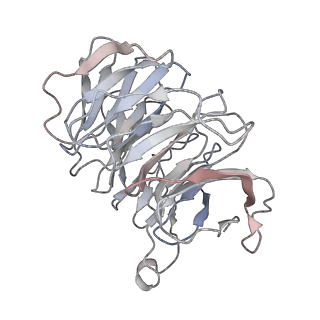 3844_5opt_p_v1-1
Structure of KSRP in context of Trypanosoma cruzi 40S