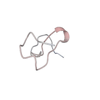 3844_5opt_q_v1-1
Structure of KSRP in context of Trypanosoma cruzi 40S
