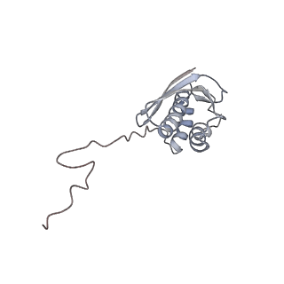 3844_5opt_r_v1-1
Structure of KSRP in context of Trypanosoma cruzi 40S