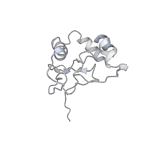 3844_5opt_t_v1-1
Structure of KSRP in context of Trypanosoma cruzi 40S