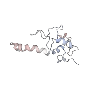 3844_5opt_u_v1-1
Structure of KSRP in context of Trypanosoma cruzi 40S