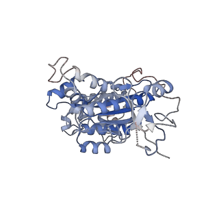 12701_7oqh_A_v1-1
CryoEM structure of the transcription termination factor Rho from Mycobacterium tuberculosis