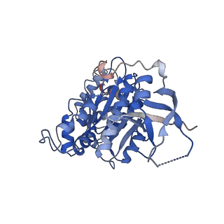 12701_7oqh_B_v1-1
CryoEM structure of the transcription termination factor Rho from Mycobacterium tuberculosis