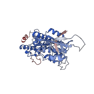 12701_7oqh_D_v1-1
CryoEM structure of the transcription termination factor Rho from Mycobacterium tuberculosis