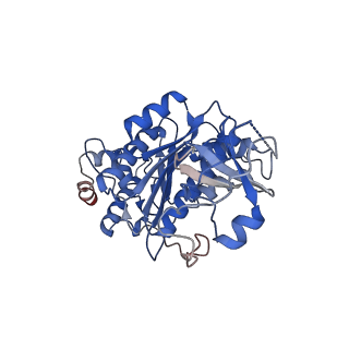 12701_7oqh_E_v1-1
CryoEM structure of the transcription termination factor Rho from Mycobacterium tuberculosis