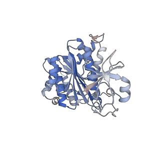 12701_7oqh_F_v1-1
CryoEM structure of the transcription termination factor Rho from Mycobacterium tuberculosis