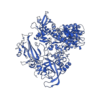 13026_7oq4_B_v1-1
Cryo-EM structure of the ATV RNAP Inhibitory Protein (RIP) bound to the DNA-binding channel of the host's RNA polymerase