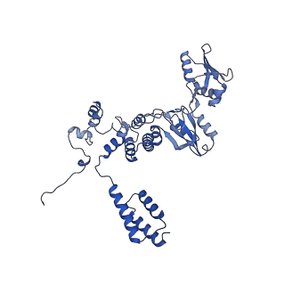 13026_7oq4_C_v1-1
Cryo-EM structure of the ATV RNAP Inhibitory Protein (RIP) bound to the DNA-binding channel of the host's RNA polymerase