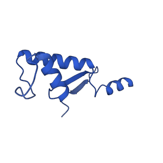 13026_7oq4_K_v1-1
Cryo-EM structure of the ATV RNAP Inhibitory Protein (RIP) bound to the DNA-binding channel of the host's RNA polymerase