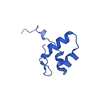 13026_7oq4_N_v1-1
Cryo-EM structure of the ATV RNAP Inhibitory Protein (RIP) bound to the DNA-binding channel of the host's RNA polymerase