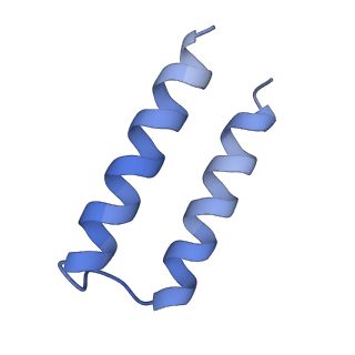 13026_7oq4_Q_v1-1
Cryo-EM structure of the ATV RNAP Inhibitory Protein (RIP) bound to the DNA-binding channel of the host's RNA polymerase