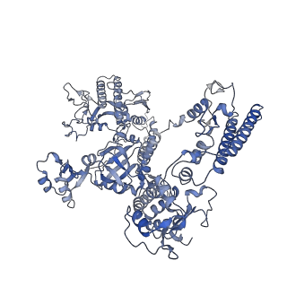 13034_7oqy_A_v1-2
Cryo-EM structure of the cellular negative regulator TFS4 bound to the archaeal RNA polymerase