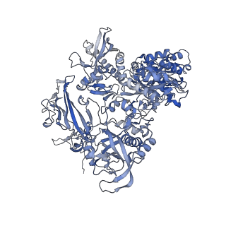 13034_7oqy_B_v1-2
Cryo-EM structure of the cellular negative regulator TFS4 bound to the archaeal RNA polymerase
