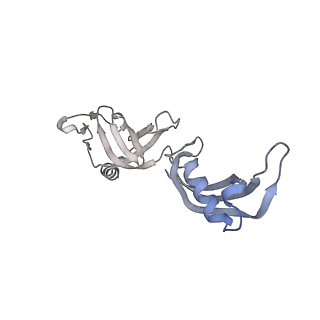 13034_7oqy_E_v1-2
Cryo-EM structure of the cellular negative regulator TFS4 bound to the archaeal RNA polymerase