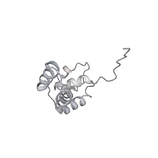 13034_7oqy_F_v1-2
Cryo-EM structure of the cellular negative regulator TFS4 bound to the archaeal RNA polymerase