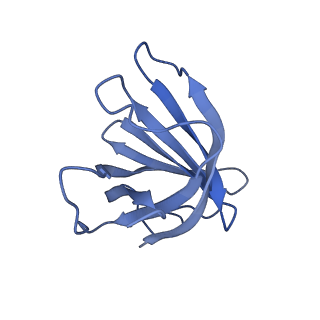 13034_7oqy_G_v1-2
Cryo-EM structure of the cellular negative regulator TFS4 bound to the archaeal RNA polymerase