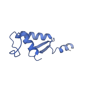 13034_7oqy_K_v1-2
Cryo-EM structure of the cellular negative regulator TFS4 bound to the archaeal RNA polymerase